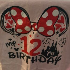 Minnie 12th birthday tshirt